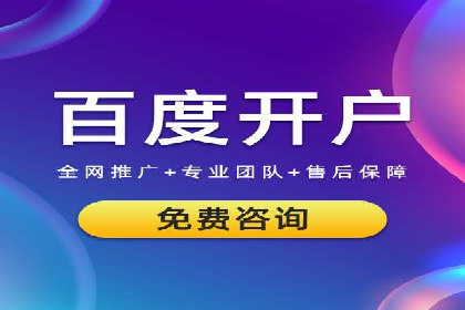 成功SEM服务案例分析报告